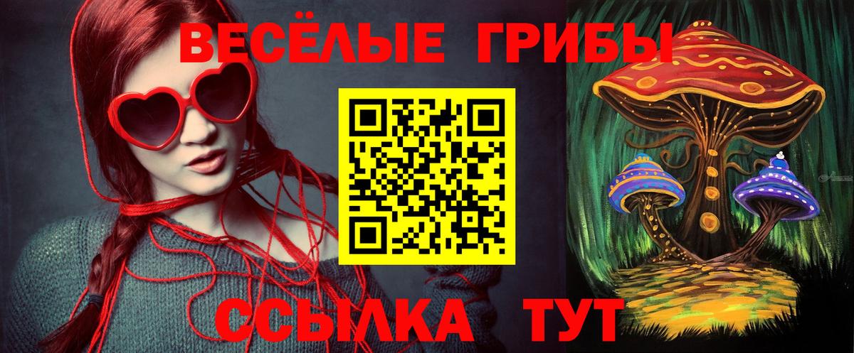 Псилоцибиновые грибы Magic Shrooms  Вход с VPN  Псилоцибиновые грибы Psilocybine cubensis  как найти наркотики  Зеленодольск 